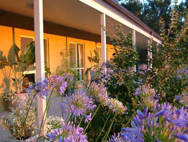 Wallaby Ridge Retreat Mount Tamborine Extérieur photo