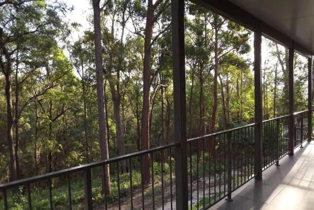 Wallaby Ridge Retreat Mount Tamborine Extérieur photo