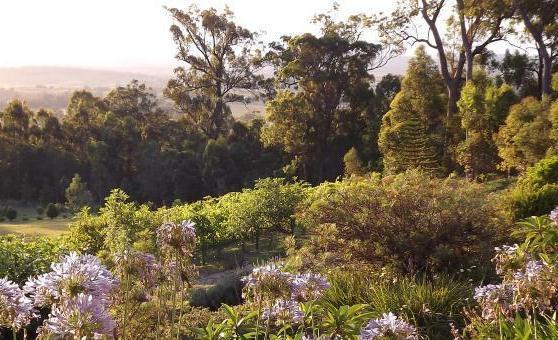 Wallaby Ridge Retreat Mount Tamborine Extérieur photo