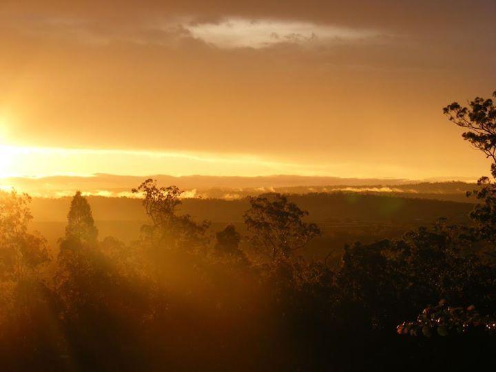 Wallaby Ridge Retreat Mount Tamborine Extérieur photo